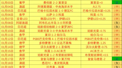 张卫平：篮球界传奇人物——百科概览